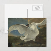 Ein Asselijn - Der bedrohte Schwan Postkarte (Vorne/Hinten)