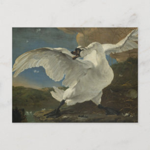 Ein Asselijn - Der bedrohte Schwan Postkarte