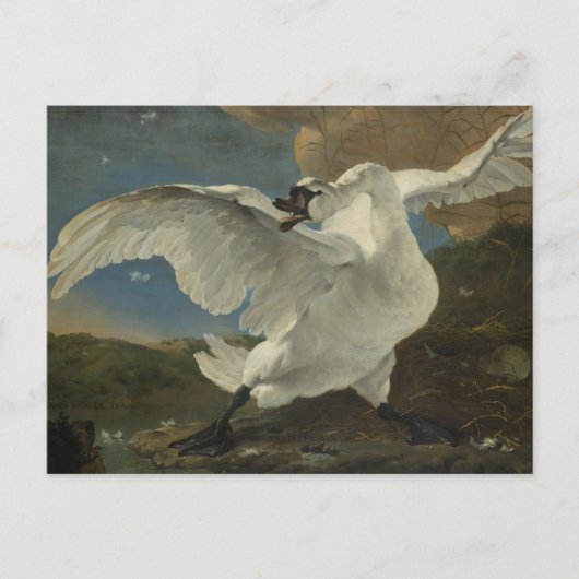 Ein Asselijn - Der bedrohte Schwan Postkarte (Vorderseite)