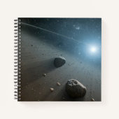 Ein Asteroidengürtel rund um den hellen Star Vega. Notizblock (Vorderseite)