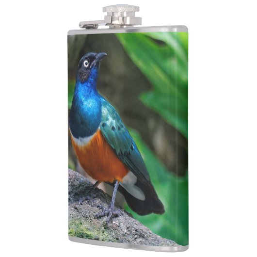 Ein Atemberaubender afrikanischer Superstar Flachmann (Links)