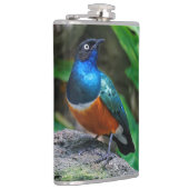 Ein Atemberaubender afrikanischer Superstar Flachmann (Rechts)