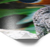 Ein Atemberaubender afrikanischer Superstar Fotodruck (Ecke)