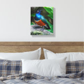 Ein Atemberaubender afrikanischer Superstar Leinwanddruck (Insitu (Schlafzimmer))