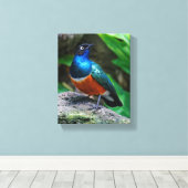 Ein Atemberaubender afrikanischer Superstar Leinwanddruck (Insitu (Holzboden))