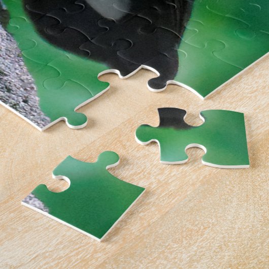 Ein Atemberaubender afrikanischer Superstar Puzzle (Seite)