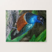 Ein Atemberaubender afrikanischer Superstar Puzzle (Horizontal)