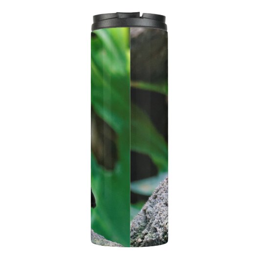 Ein Atemberaubender afrikanischer Superstar Starli Thermosbecher (Rückseite)