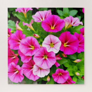 Ein atemberaubender Haufen rosa Petunien. Puzzle