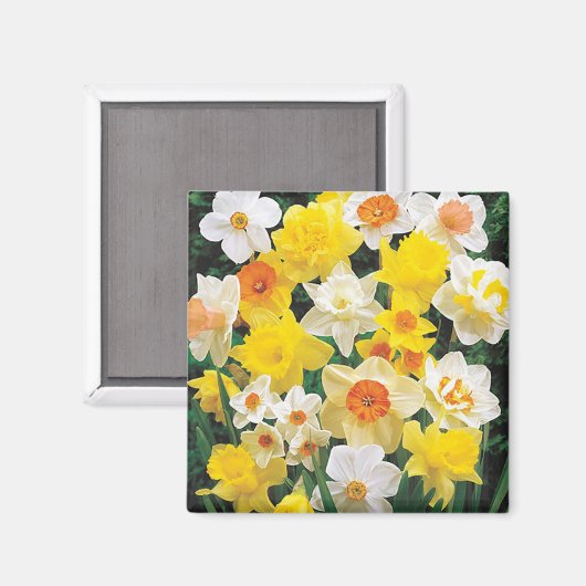 Ein Atemzug der Frühlingsdüster Kühlschrank Magnet (Vorderseite/Rückseite)