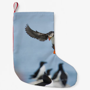 EIN ATLANTISCHES PUFFIN, DAS MIT SEINEM WAND IN LA KLEINER WEIHNACHTSSTRUMPF