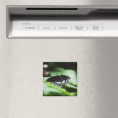 Ein attraktives Magnet (In Situ (Geschirrspüler))
