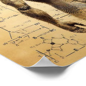 Ein auf einem Datenblatt überlagerter Mensch Poster (Ecke)