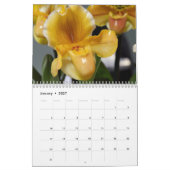 Ein Aufstand der Orchideen Kalender (Jan 2027)