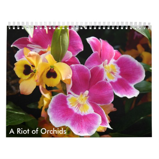 Ein Aufstand der Orchideen Kalender (Titelbild)
