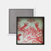 ein Auge, von dem du glaubst, dass du ein rotes Au Magnet (Vorderseite/Rückseite)