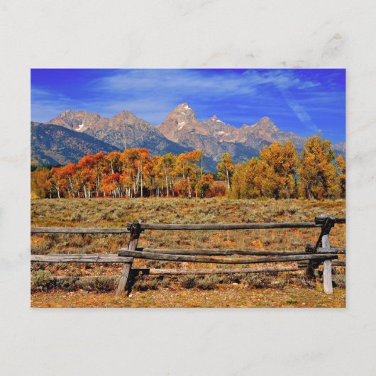 Ein Augenblick in Wyoming im Herbst Postkarte (Vorderseite)