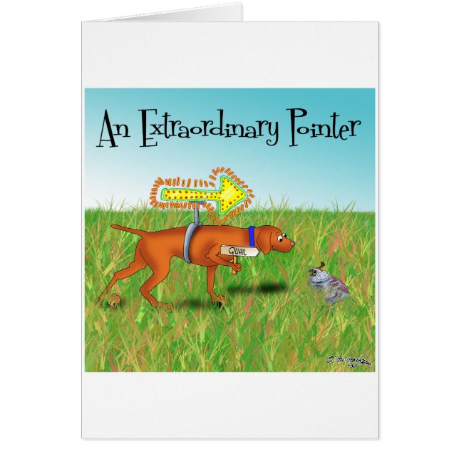 Ein außergewöhnlicher Zeiger (Vorne)