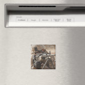 Ein automatischer Waffengunner liefert securi Magnet (In Situ (Geschirrspüler))