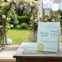 Ein Baby ist unterwegs Baby Shower