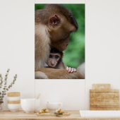 Ein Baby Macaque und es ist Mutter Poster (Küche)