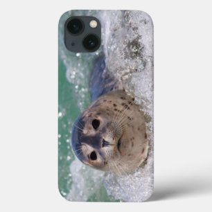 Ein Baby-Siegelsurfen Case-Mate iPhone Hülle