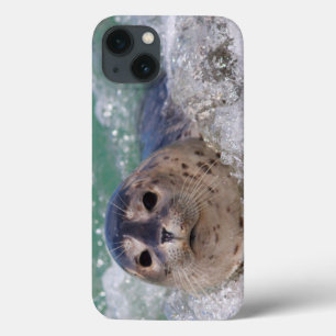 Ein Baby-Siegelsurfen Case-Mate iPhone Hülle