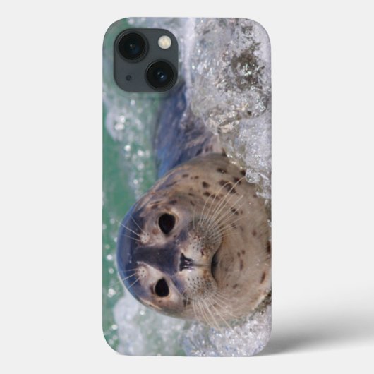 Ein Baby-Siegelsurfen Case-Mate iPhone Hülle (Rückseite)