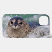Ein Baby-Siegelsurfen Case-Mate iPhone Hülle (Rückseite (Horizontal))