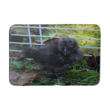 Ein Baby Silkie