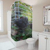 Ein Baby Silkie Duschvorhang (Beispiel)