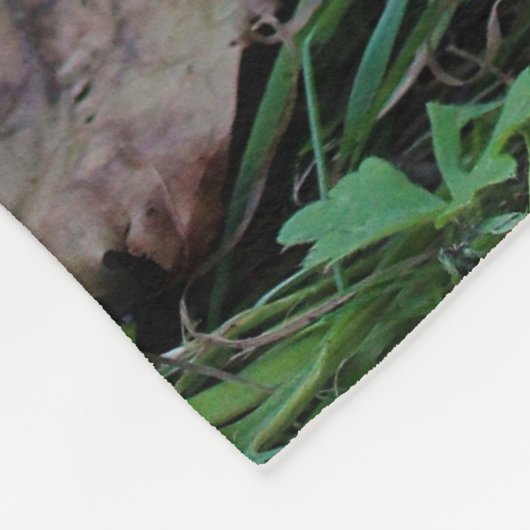 Ein Baby Silkie Fleecedecke (Ecke)