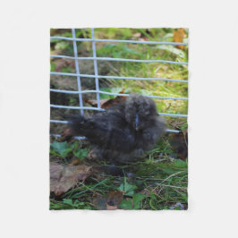 Ein Baby Silkie Fleecedecke