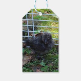 Ein Baby Silkie Geschenkanhänger