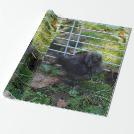 Ein Baby Silkie Geschenkpapier