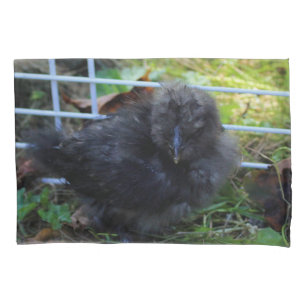 Ein Baby Silkie Kissenbezug