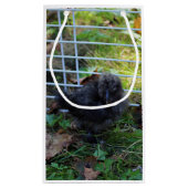 Ein Baby Silkie Kleine Geschenktüte (Rückseite)