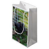 Ein Baby Silkie Kleine Geschenktüte (Vorderseite Schrägansicht)