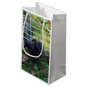 Ein Baby Silkie Kleine Geschenktüte (Rückseite Schrägansicht)