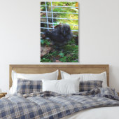 Ein Baby Silkie Leinwanddruck (Insitu (Schlafzimmer))