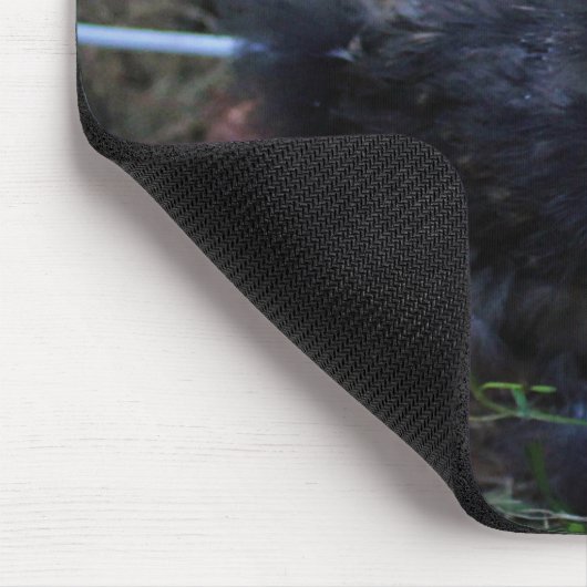 Ein Baby Silkie Mousepad (Ecke)