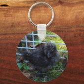Ein Baby Silkie Schlüsselanhänger (Vorderseite)