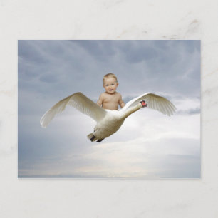 Ein Baby und ein Schwanenhimmel Postkarte