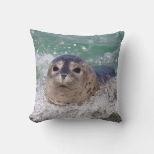 Ein Babyrobbe surft Kissen