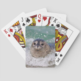 Ein Babyrobbe surft Spielkarten
