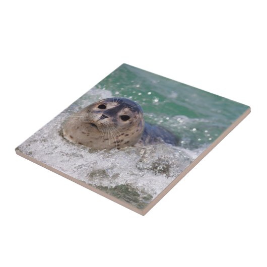 Ein Babysurfing im Siegel Fliese (Seite)