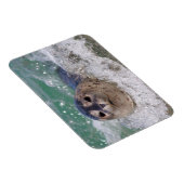 Ein Babysurfing im Siegel Magnet (Rechte Seite)