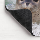 Ein Babysurfing im Siegel Mousepad (Ecke)