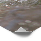 Ein Babysurfing im Siegel Poster (Ecke)