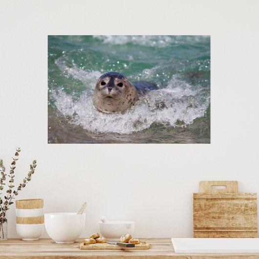 Ein Babysurfing im Siegel Poster (Küche)